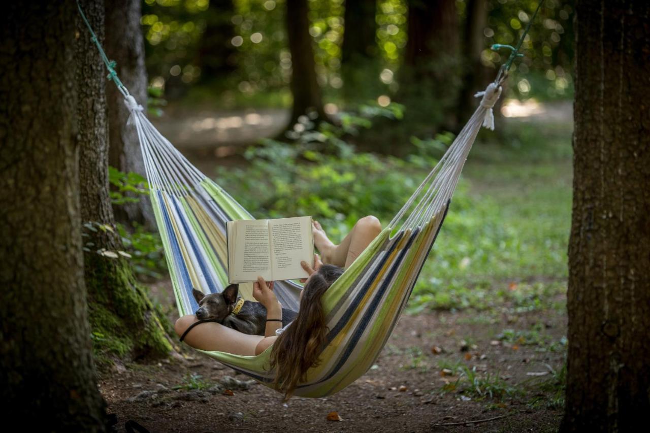 Forest Camping Мозирье Экстерьер фото