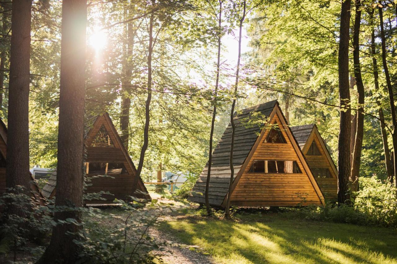 Forest Camping Мозирье Экстерьер фото