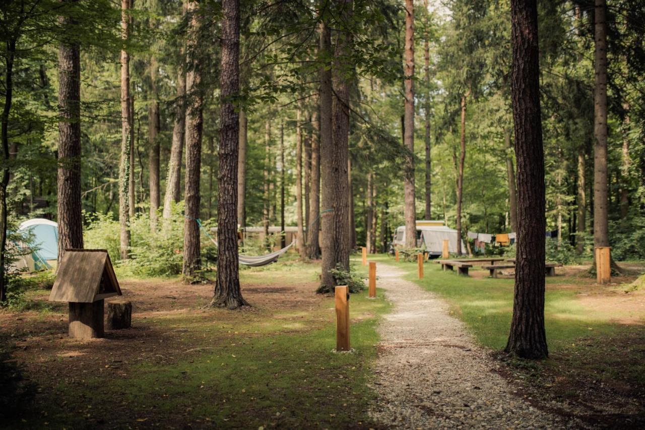 Forest Camping Мозирье Экстерьер фото