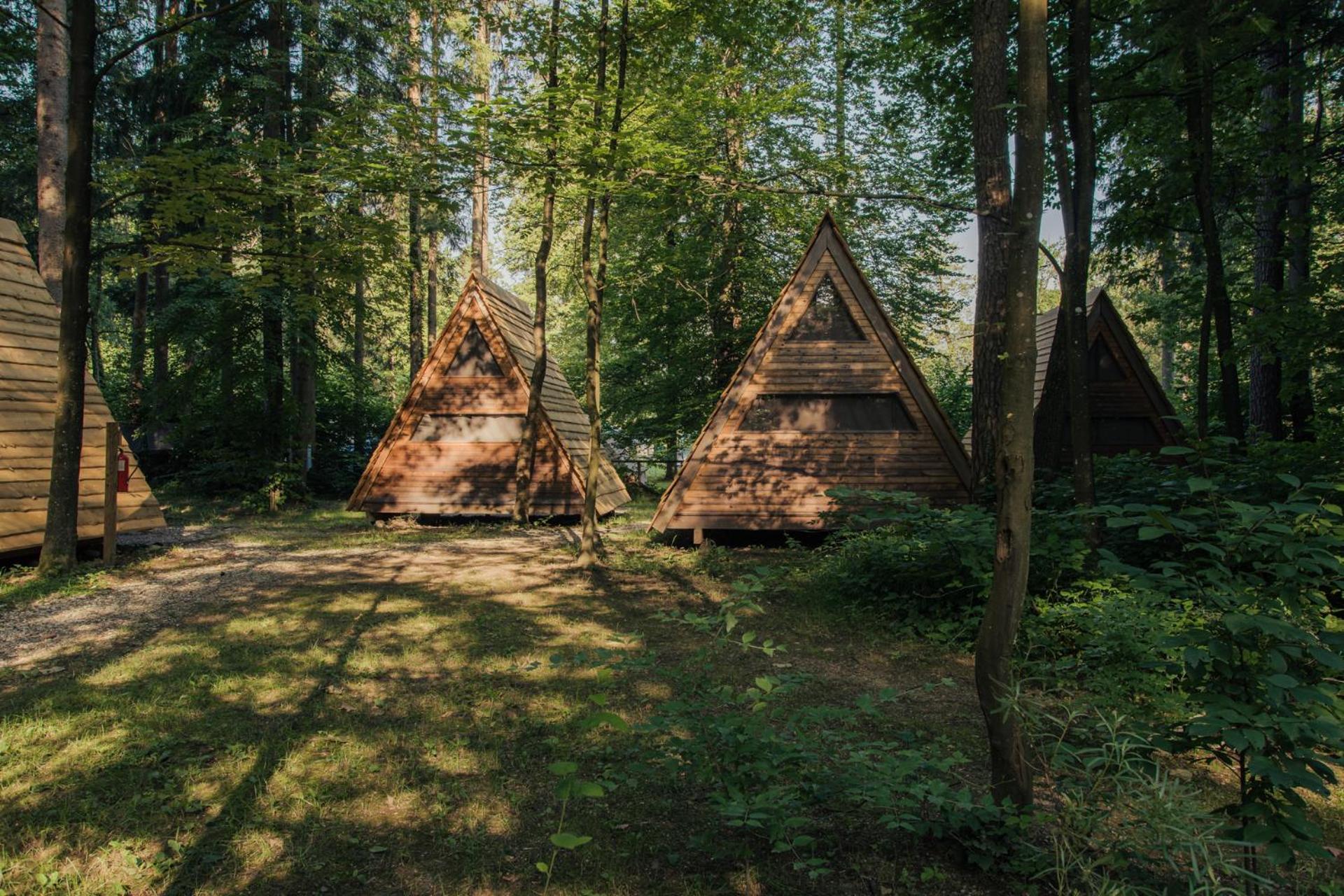 Forest Camping Мозирье Номер фото
