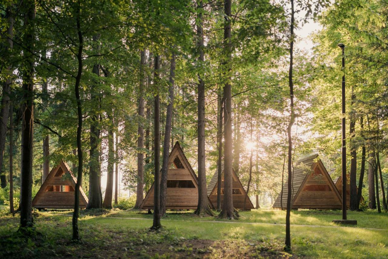 Forest Camping Мозирье Экстерьер фото