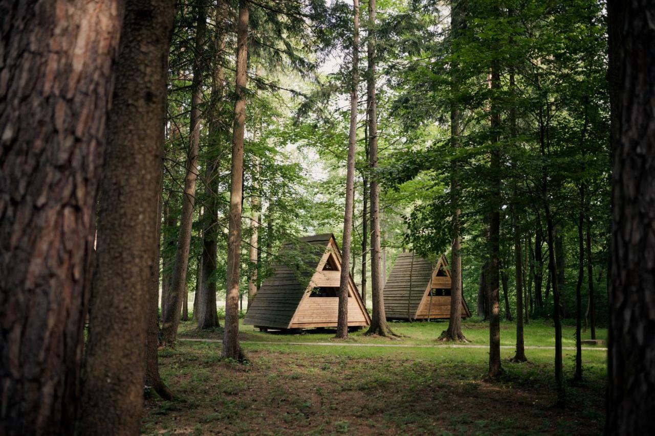 Forest Camping Мозирье Экстерьер фото