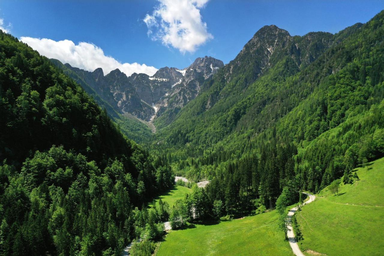 Forest Camping Мозирье Экстерьер фото